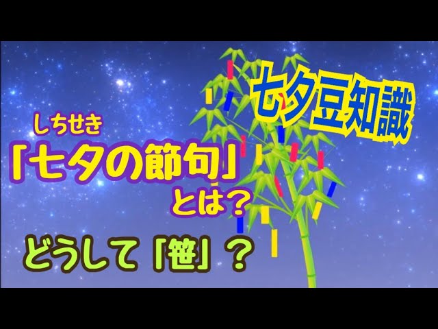七夕でおなじみの笹、竹との違いは？ - ウェザーニュース