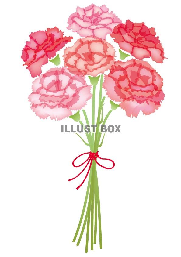 母の日 かわいいカーネーションのイラスト 赤・ピンク