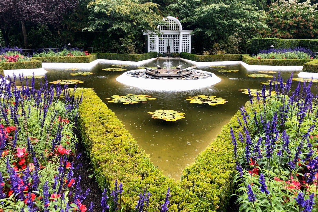 アフタヌーンティー＊ブッチャートガーデンinカナダ : MIRU'S PHOTO