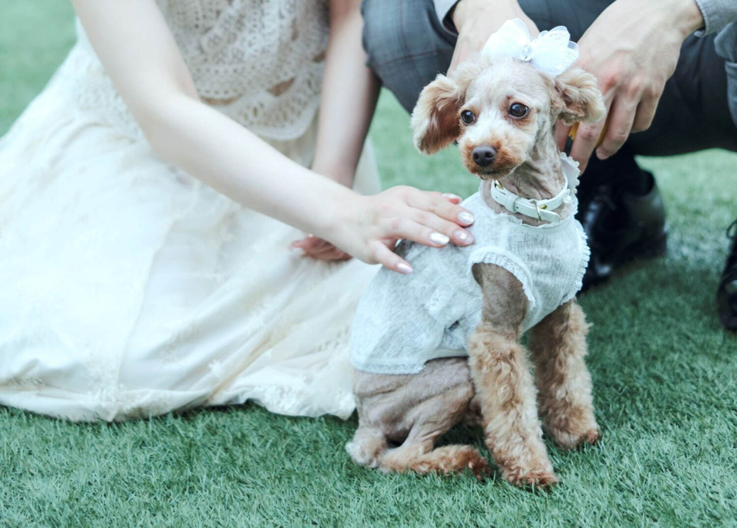 3,000円台で楽しむ“青い”アフタヌーンティーをカフェレス子がご紹介！ - フードマニア Food Mania by 旭屋出版