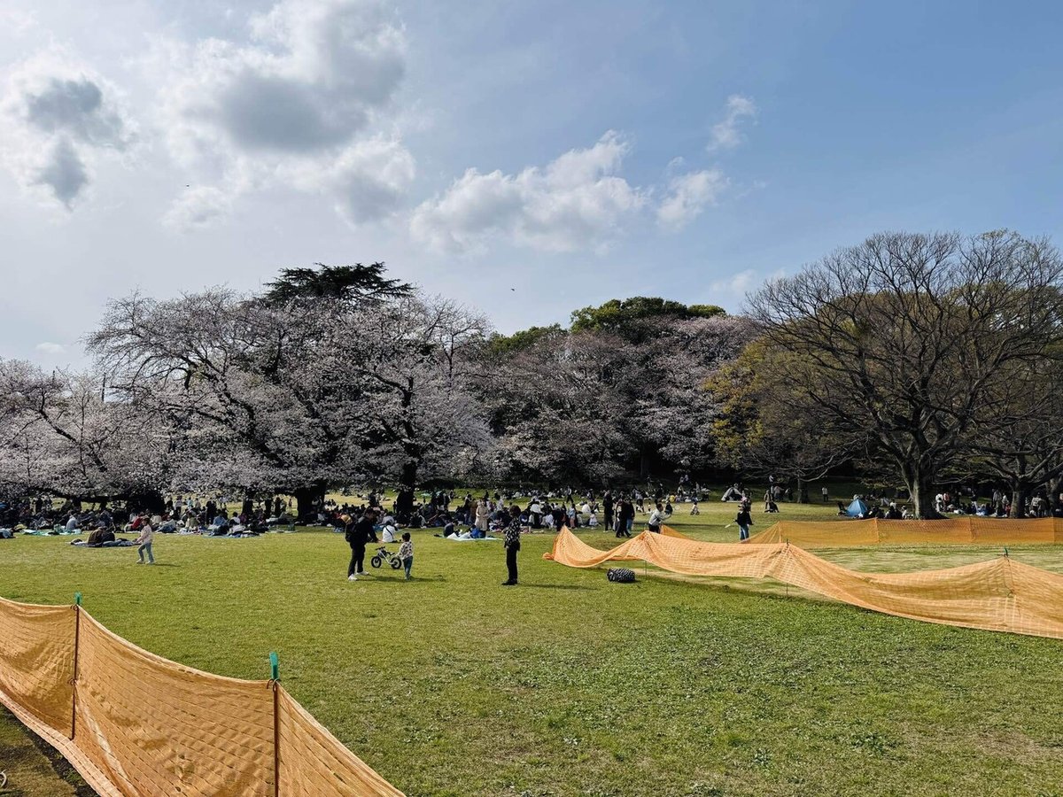 老若男女が集う緑豊かな世田谷「砧公園」の楽しみ方桜に紅葉、バラなどるるぶ&more