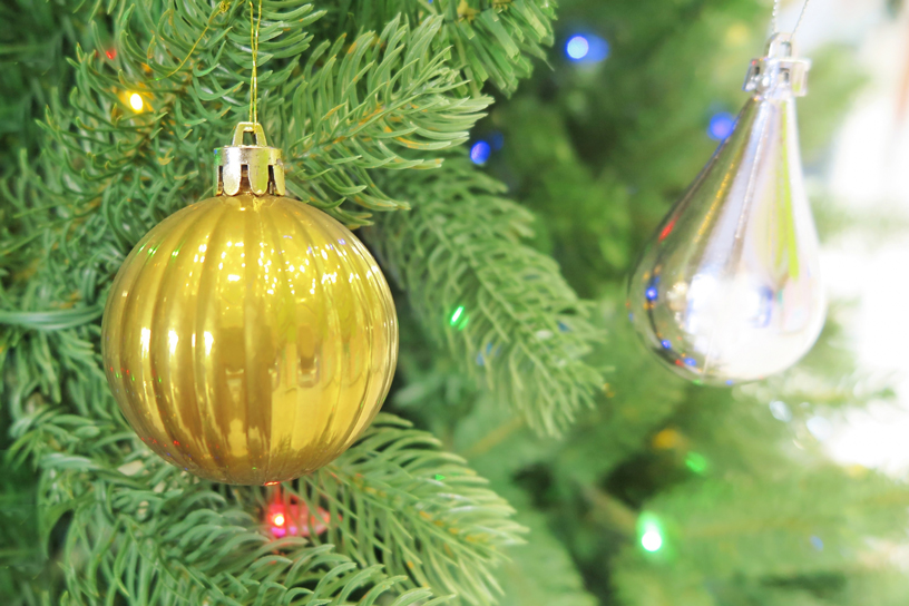 クリスマスの庭づくり！ 飾り付けのポイントとおすすめイルミネーションGardenStoryガーデンストーリー