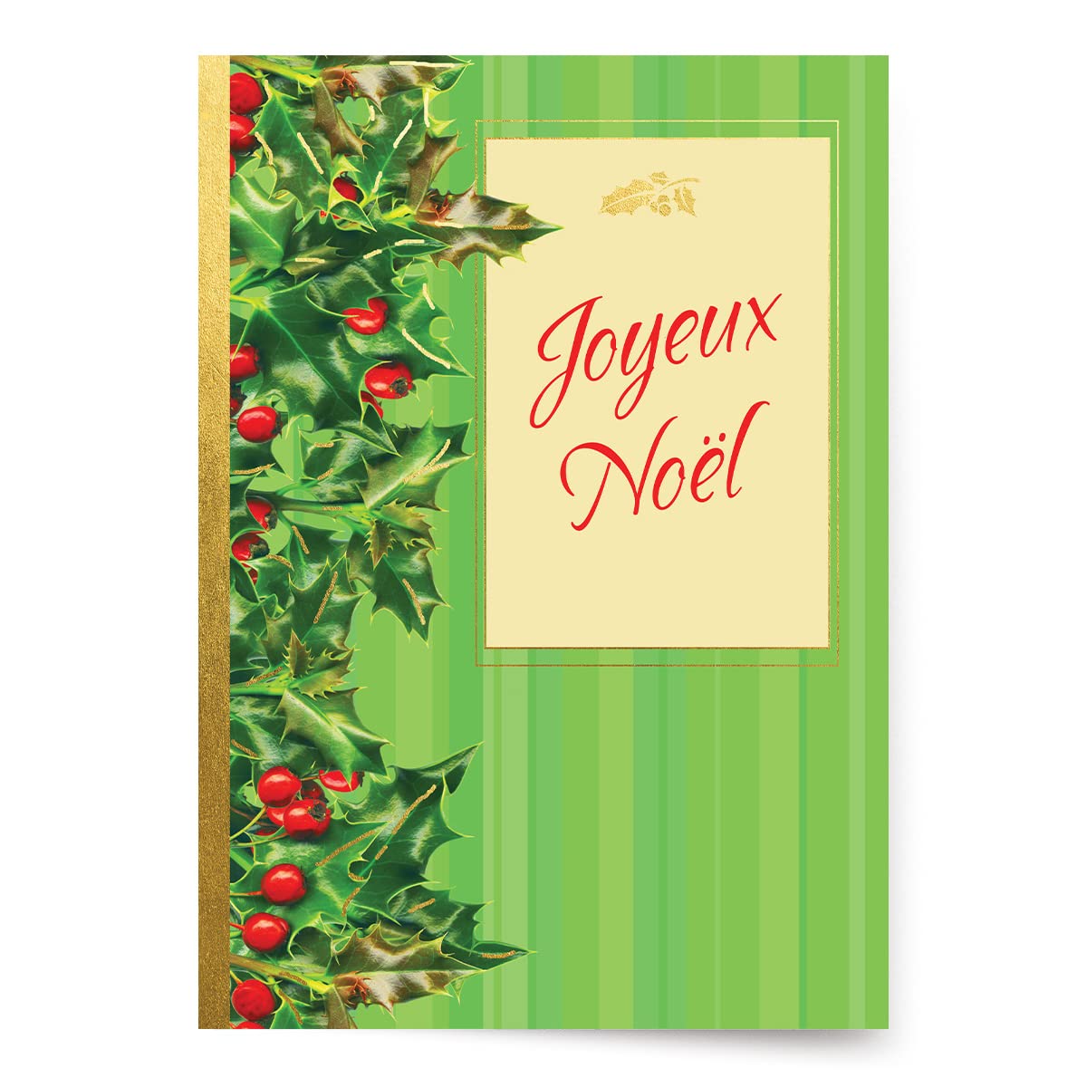 フランス語で挨拶とメリークリスマスカードテンプレートPremiumベクトル素材