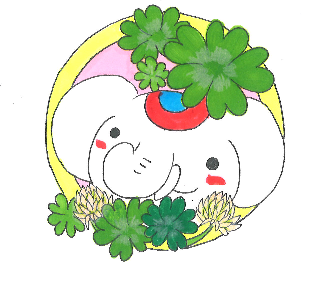 五つ葉のクローバー見つけました