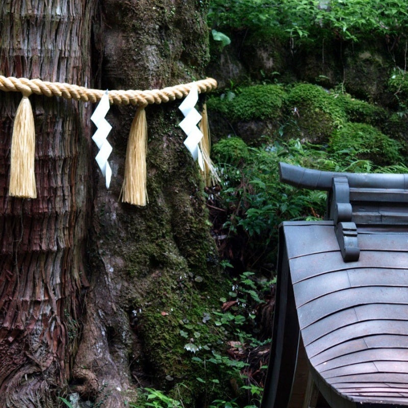 丑の刻参り貴船神社ファンダム春もあ様心霊心霊貴船神社TikTok