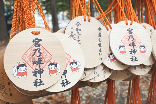 厄除け 病気平癒で有名な「大國魂神社」のお守りをゲット！難病にご利益あることを期待！難病オトナ女子の生きる知恵袋