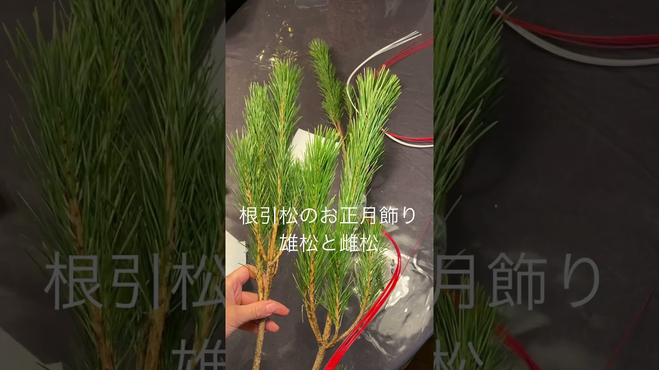 門松の正しい飾り方とは？左右に込められた意味って！？生活情報大事典