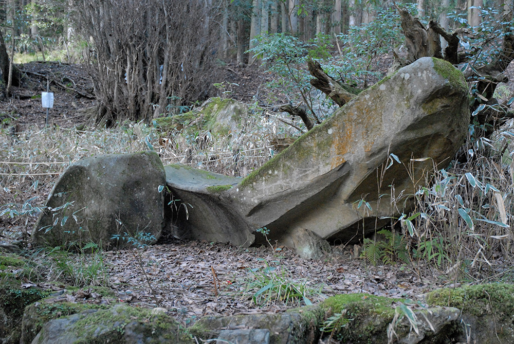 丑の刻参り”はフィクションじゃない！ 京都に実在する“呪術の痕跡”で最もゾッとしたのは『怖いこわい京都』特別エッセイ 4コラム・エッセイ -本の話