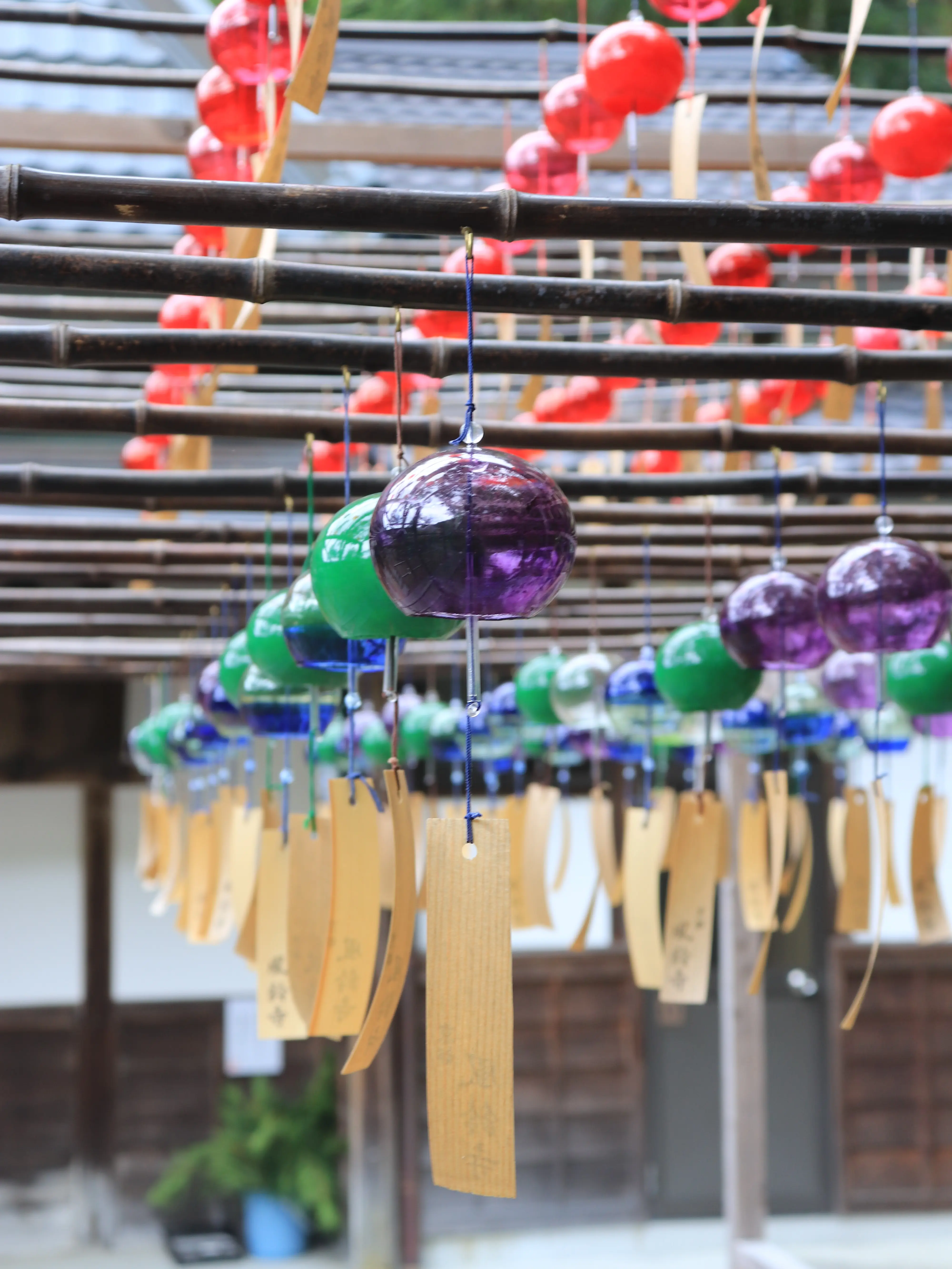 正寿院風鈴まつり 2025 - 京都の美しい夏