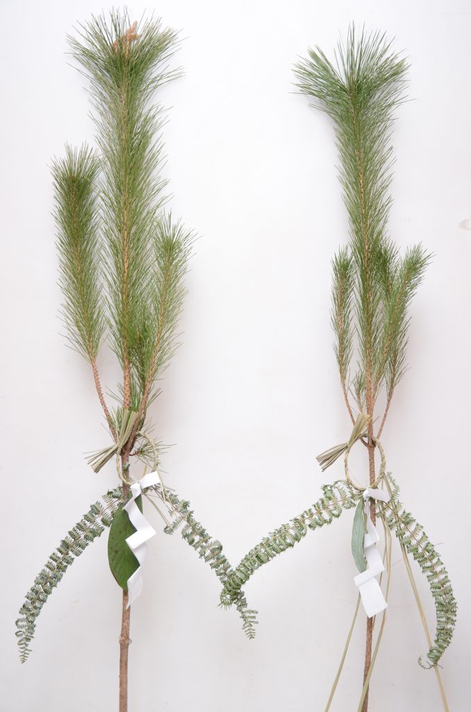 門松の飾り方 関東地方の一例です: イケダユミコ通信The Day