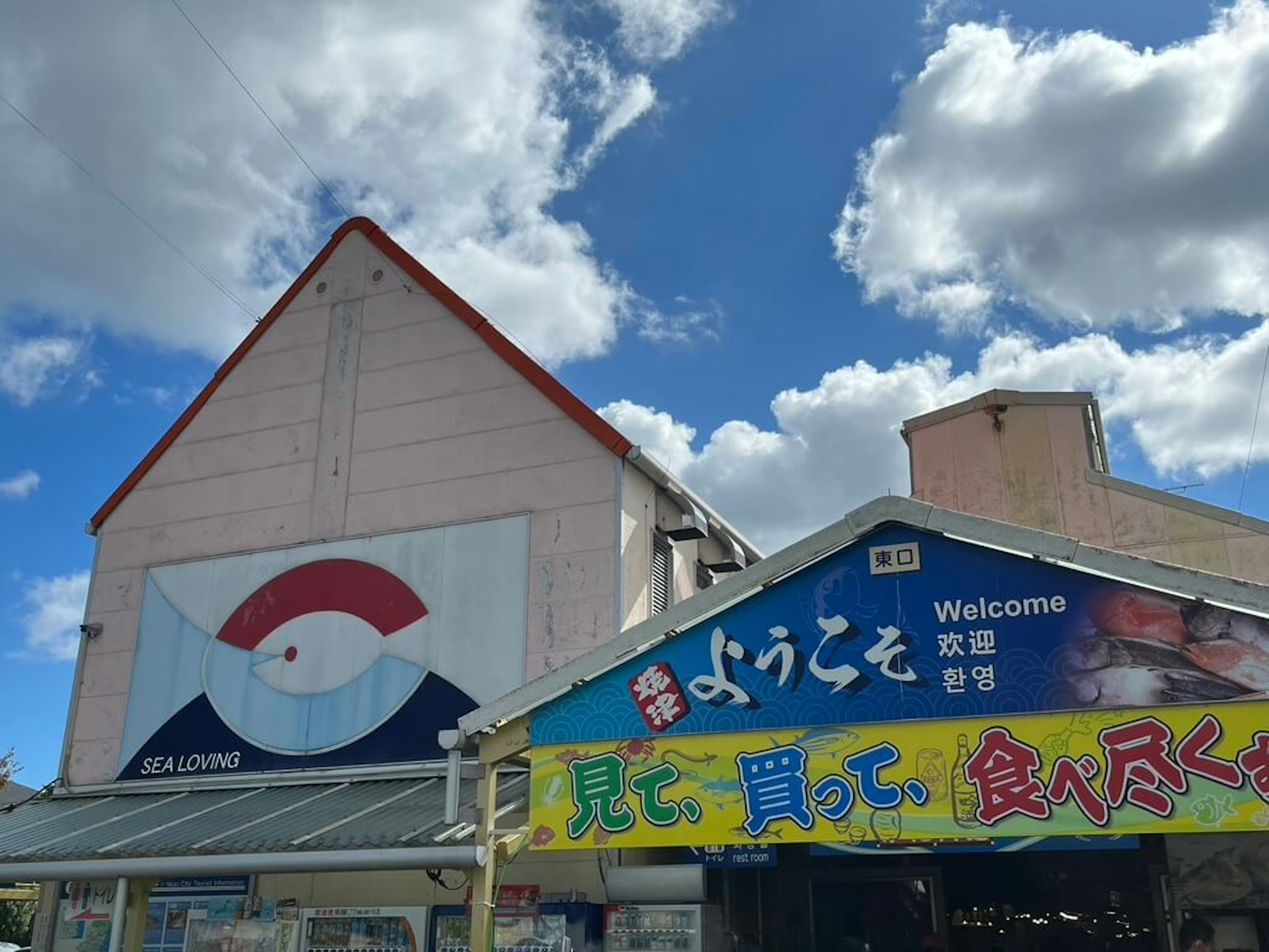 やいづとくさんプラザ@tokusan.puraza• Instagram photos and videos