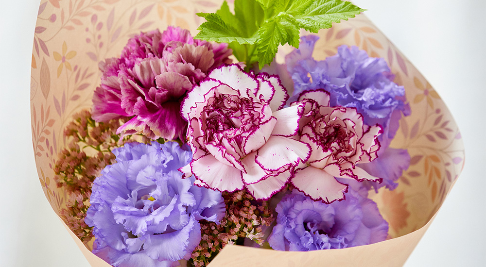 クリスマスローズ 花束の写真素材写真素材なら「写真AC」無料 フリー ダウンロードOK