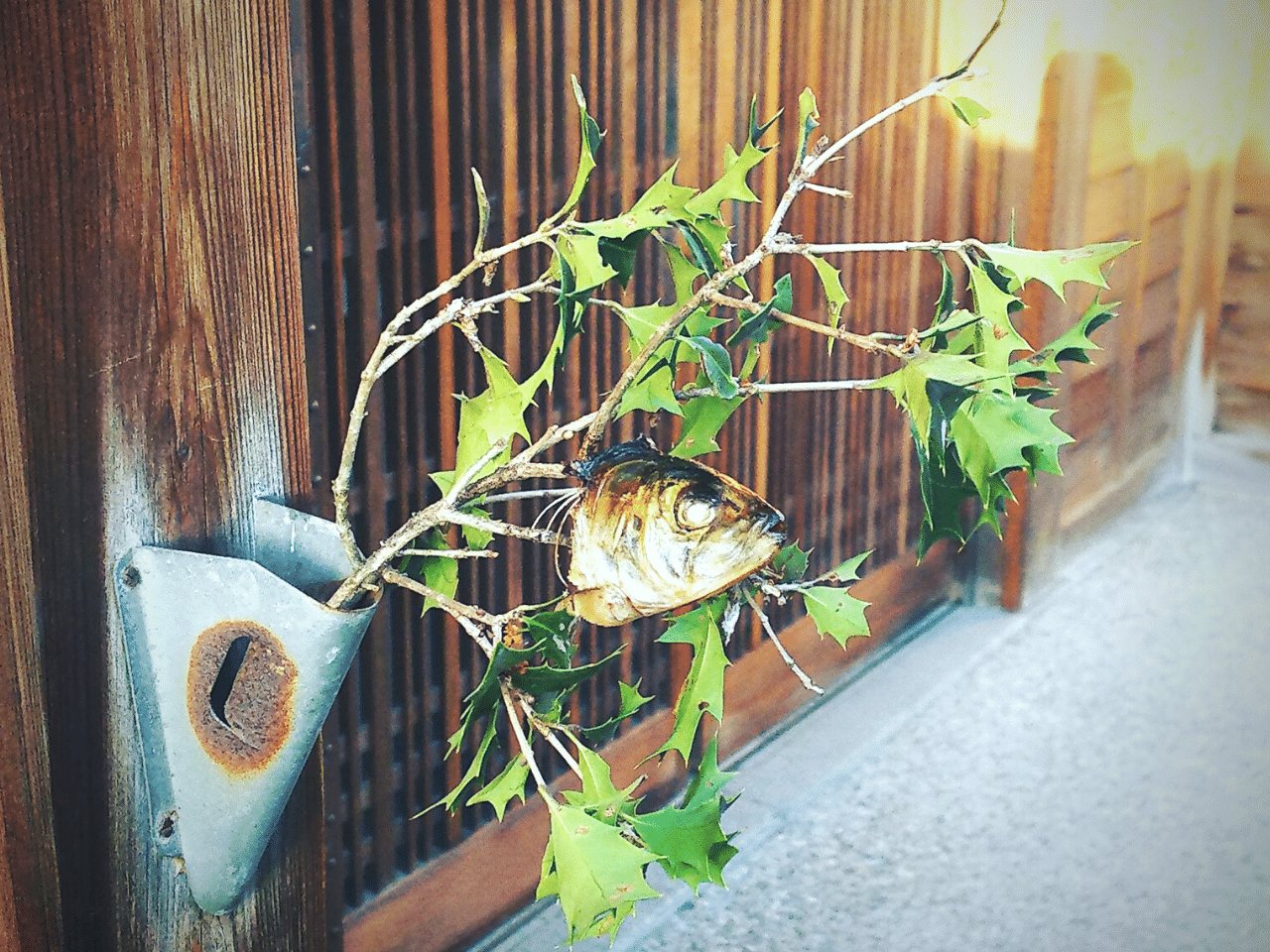 節分にイワシの頭を飾るのはなぜ？意味やオススメの食べ方をご紹介！みたい-まるはり×みたい-みつけて播磨 姫路、加古川など 情報サイト 旧：姫路みたい