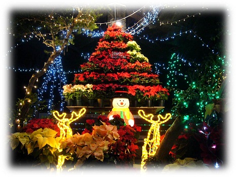 クリスマスデートは1泊2日で箱根へ出かけよう! 恋人と行きたいモデルコース箱根ナビ