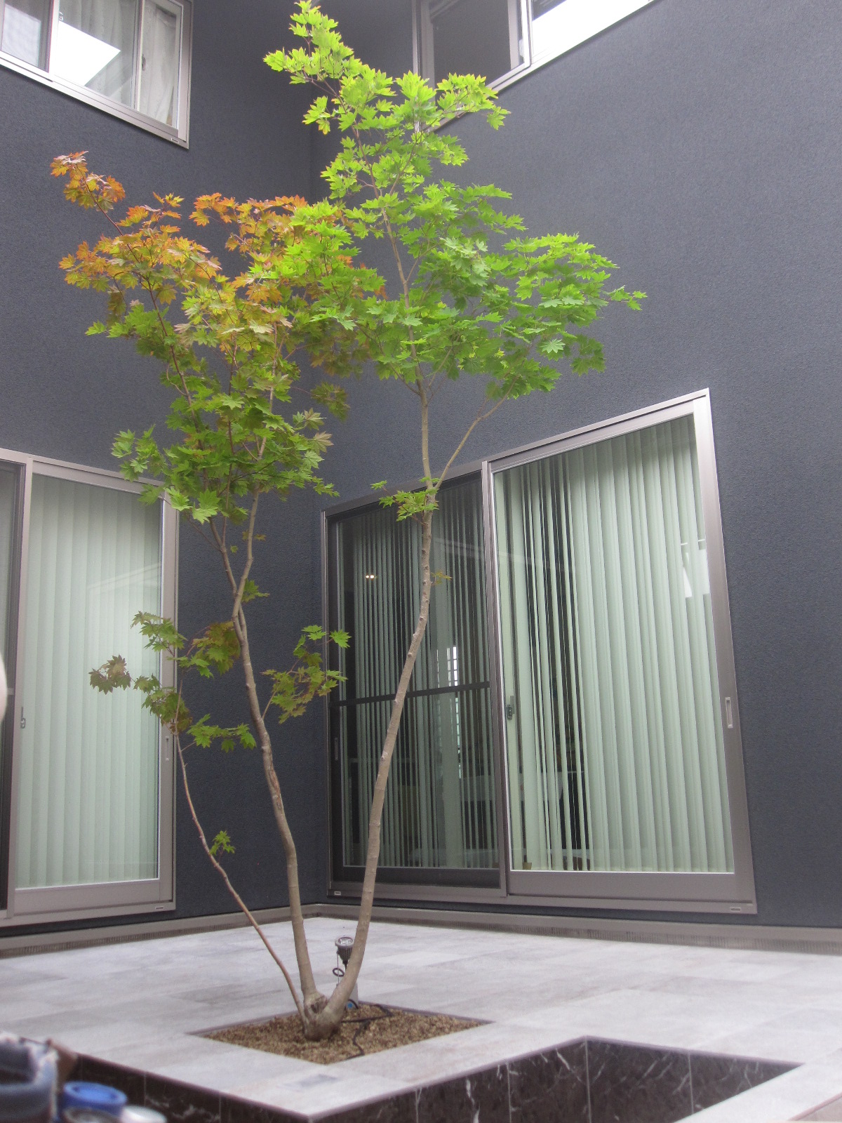 不利な立地条件を魅力に 中庭の土間玄関プロの住宅レシピPlaNavi プラナビ