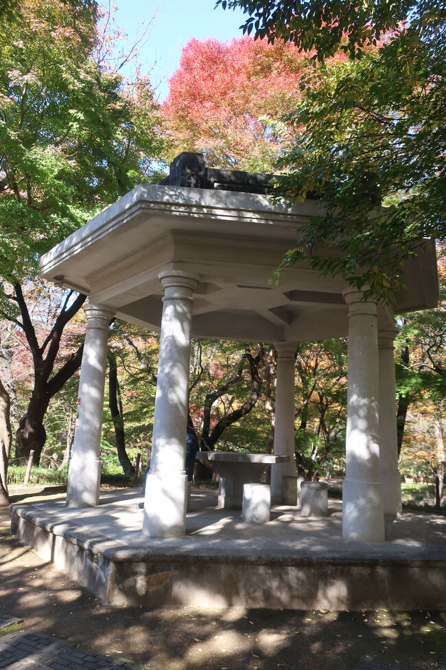 見世物小屋 新宿日撮り歩記まさこん