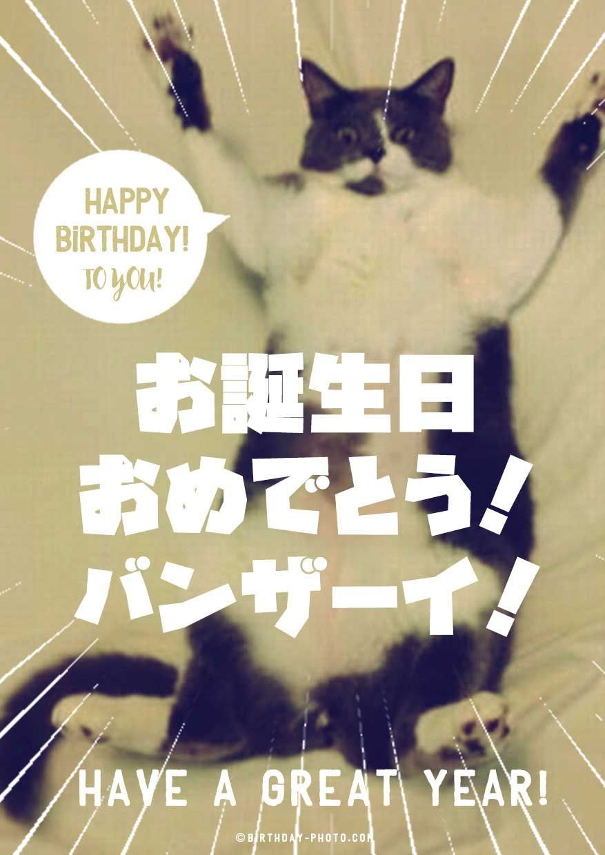 大人カワイイねこ大集合🐱！🎉誕生日や色んなお祝いに使えるスタンプ好評発売中🎉「大人も使える誕生日・おめでと・ありがと」 https:line.me S sticker 3160233LINELINEスタンプラインスタンプクリエイターズスタンプ誕生日スタンプおめでとうスタンプ