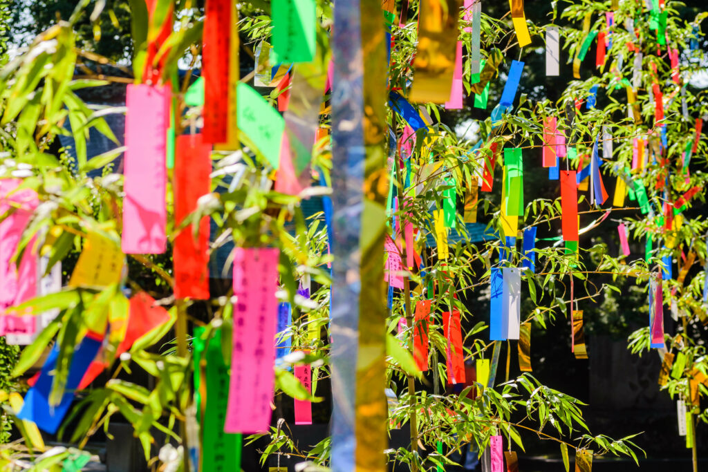 七夕飾りに笹を使うのはなぜ? 短冊に願い事を書く理由も解説 - トクバイニュース