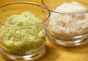 菜の花ひな祭りちらしお料理レシピユワキヤ醤油・味噌大分