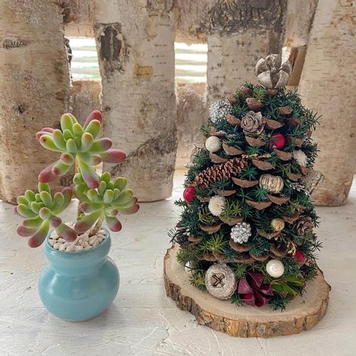 おおいたんShe*:まつぼっくりのクリスマスツリ