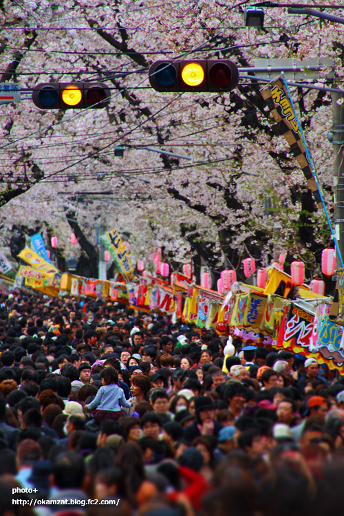 常盤平さくらまつり千葉県 - JAPAN 47 GO