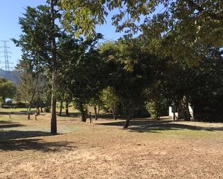 ことなみ土器どき広場 美しい里山のイルミネーション✨ 夜になると真っ暗で気温も低いこの場所に、浮かびあがるイルミネーションはとても美しいです✨点灯時間は17:00～21:00 1 14 金 まで行われます。 location:ことなみ土器どき広場香川県仲多度郡まんのう町 撮影日