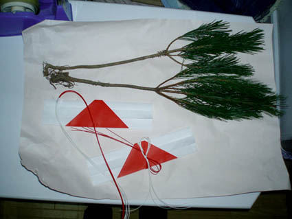 特別な松「昇龍根引き」でオリジナル松飾りを作ろう！ – 大田花き開発ユニットBloemfontein