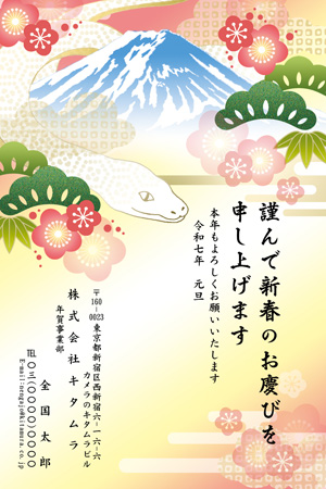 2021年年賀状 お正月の縁起物 イラスト素材6517801- フォトライブラリ