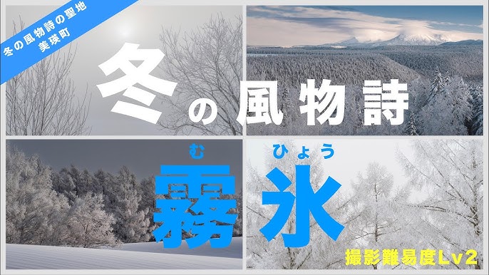 冬の風物詩YUTA録