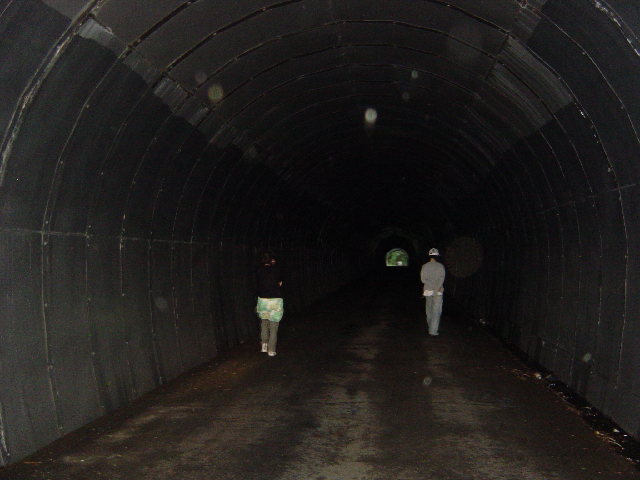 行き着いたところは旧本坂トンネル - 波と狛のつれづれ日記