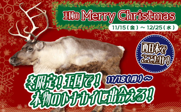 トナカイの角付きキャップ帽子 おもしろ 爆笑 変装グッズ 仮装 クリスマス コスプレ ハット 小物 笑える 面白 かぶりものパーティワールド