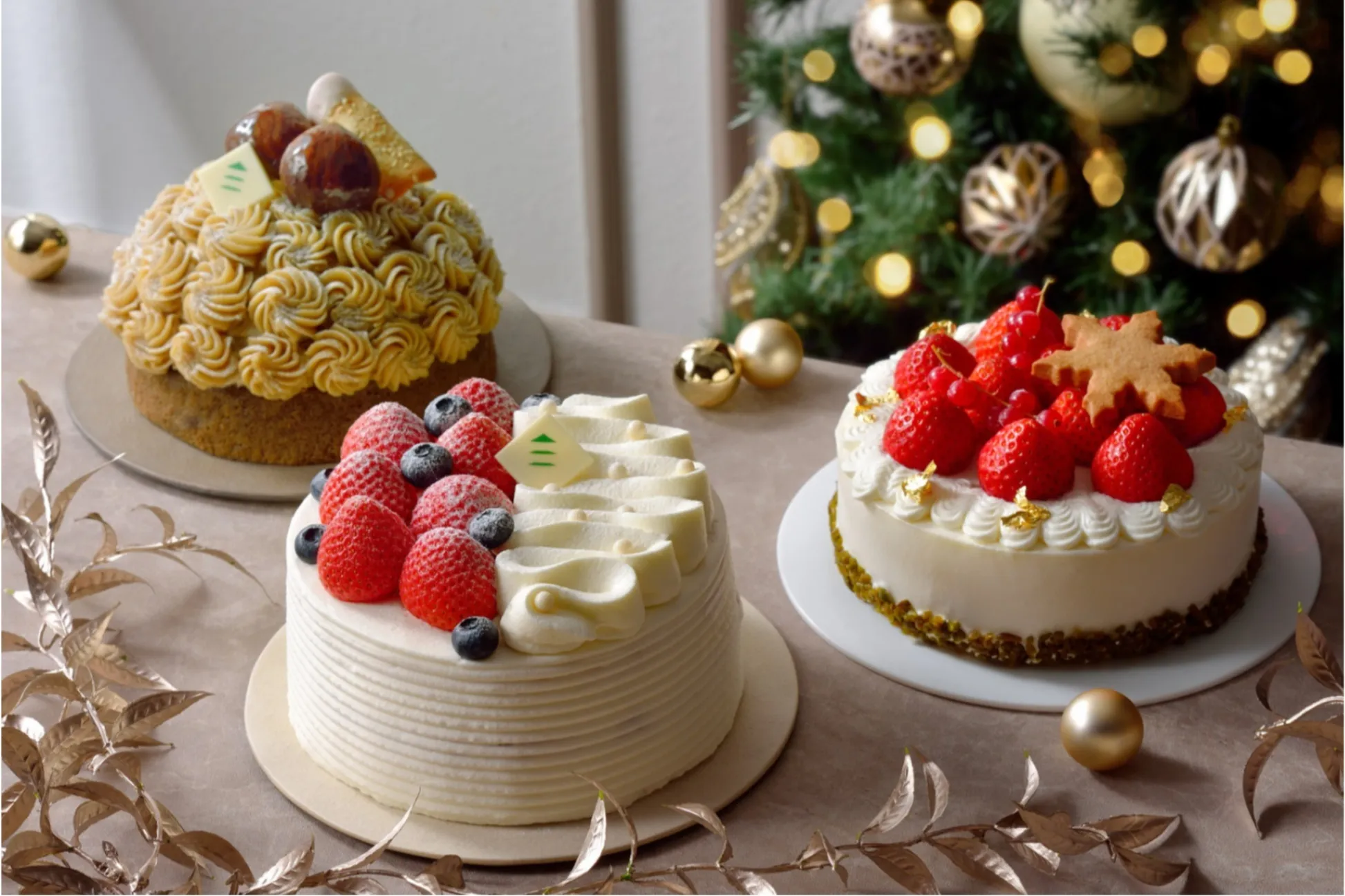 楽天市場 クリスマスケーキ 予約 2025 カシスオランジュ 12cm 4号 サイズ目安： 2人、3人、4人 分送料無料 お取り寄せ 真っ赤な クリスマスケーキ キャラクター 飾り チョコレート ケーキ チョコ ムース 人気 スイーツ かわいい おしゃれ イマージュ 広島 お届け