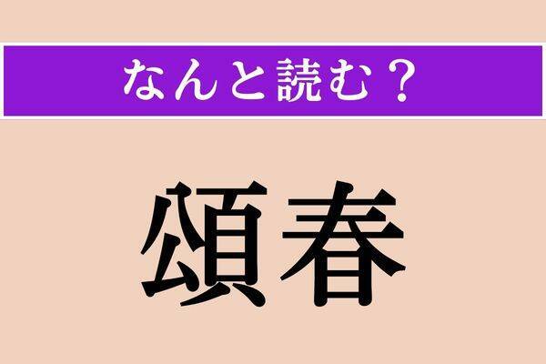 H233.消しゴムはんこ スタンプ 頌春 しょうしゅん 年賀状FEE