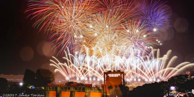 2025年 新田花火大会の穴場スポット！アクセス・交通規制・駐車場ガイドイベント情報局