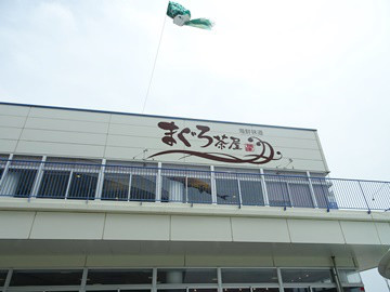 うみえ～る焼津 ハローナビしずおか 静岡県観光情報