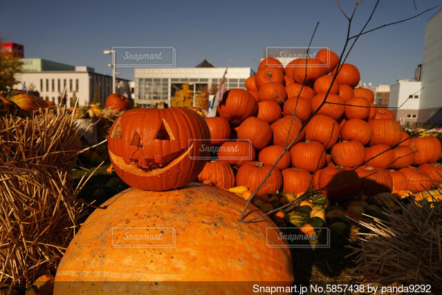 ハロウィン風景イラストイラスト - No: 1216686無料イラスト・フリー素材なら「イラストAC」