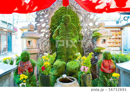 水掛不動 - コトログ京都