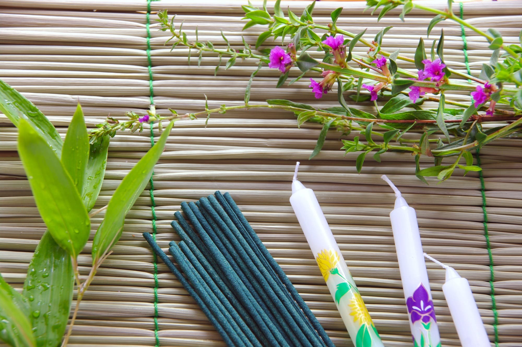 ミソハギの花 お盆 苗花、ガーデニング のおすすめ人気商品一覧 通販 - Yahoo!ショッピング