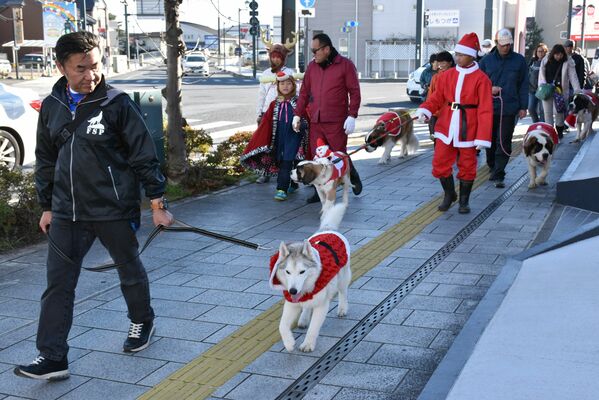 愛犬と行けるおすすめスポットクリスマス編！おうちで楽しめる愛犬用パーティーレシピも☆犬の総合情報サイト ペットスマイルニュースforワンちゃん