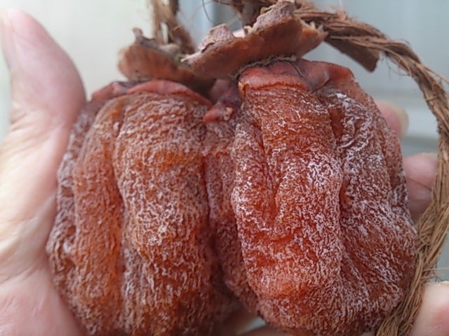 鏡餅に干し柿を飾る地域はどこ？するめ・串柿地域色が出る鏡餅の飾り方 - 趣味の音