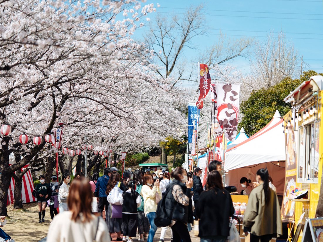 ４月２日 土 大池公園 桜まつり