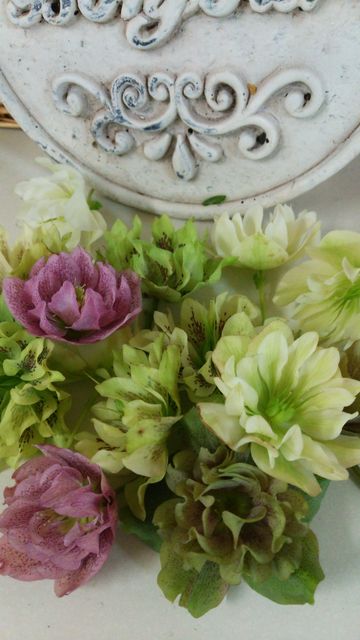 クリスマスローズのドライフラワーの写真・画像素材-Snapmart スナップマート