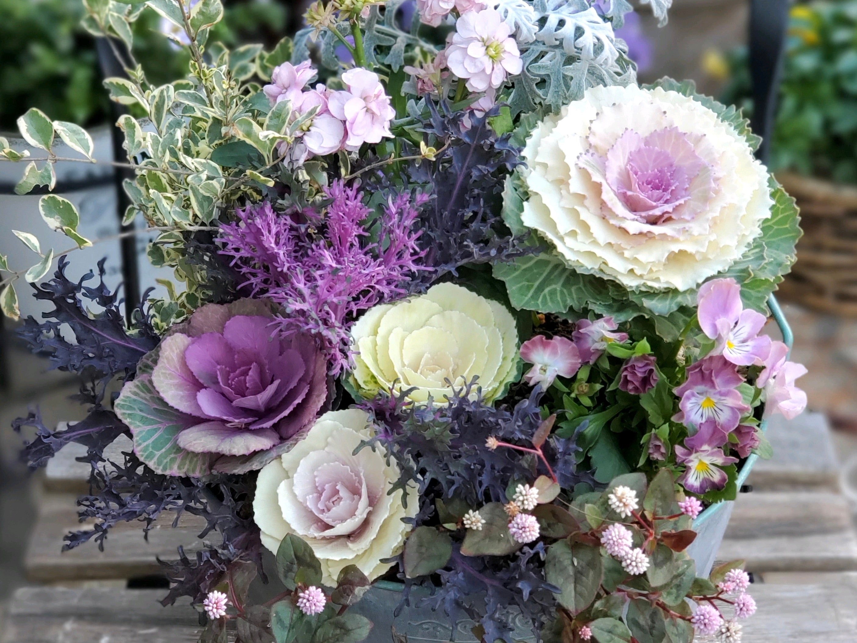 フリー 謹賀新年257 無料画像