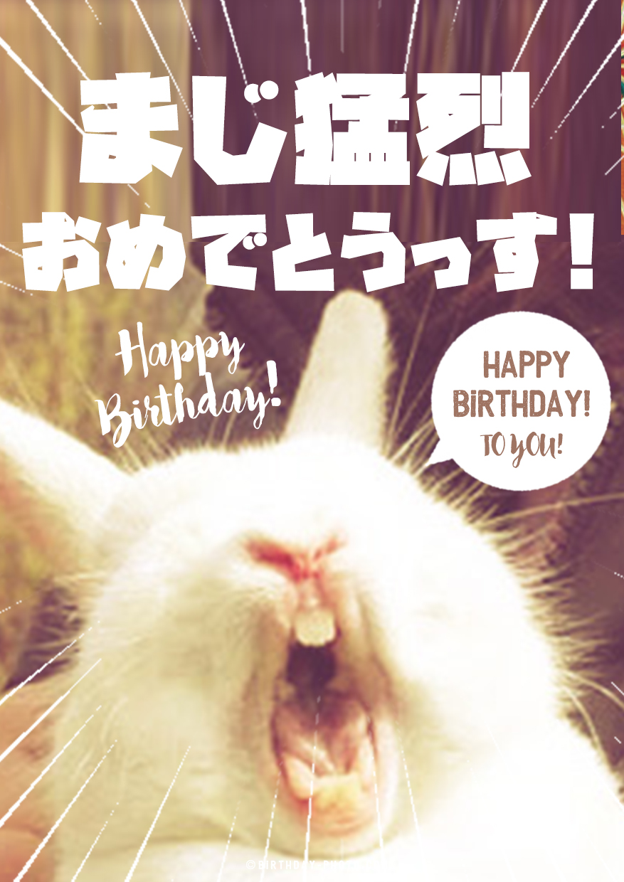 感動的なバースデーパフォーマンス 💎 忘れられない瞬間を！🎁 Happy Birthday To You