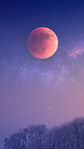 を月見する清八 恋のおまじないの効果はある のかな？コウカ さんのマンガツイコミ 仮