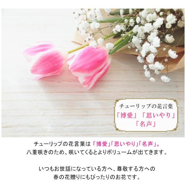 卒業式花束ご予約受付中💐, 可愛いガーベラのお花と、, 韓国風ラッピングの, ガーベラドレスブーケ💐, ガーベラ＋カスミソウが入って、,可愛い♡雰囲気で仕上げました。, 花言葉で選ぶのもおすすめです！, ◇ガーベラの全体の花言葉, 『希望・前向き』, ◇ガーベラの色別の花言葉,オレンジ『神秘・冒険心』, 黄色『究極の美』, 赤『燃える神秘の愛』,