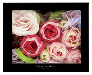 ホワイトデー特集驚安の殿堂 ドン・キホーテ