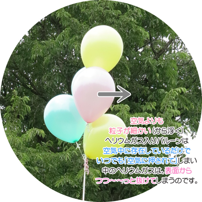 ヒマワリの種、小学生が風船で飛ばす 兵庫・市川町 - 産経ニュース