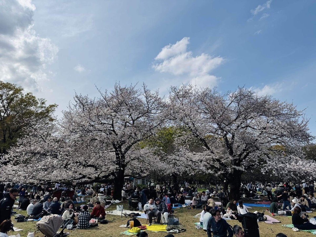 世田谷区の砧公園でお花見♪WAGNAS-都内アドベンチャーサークル