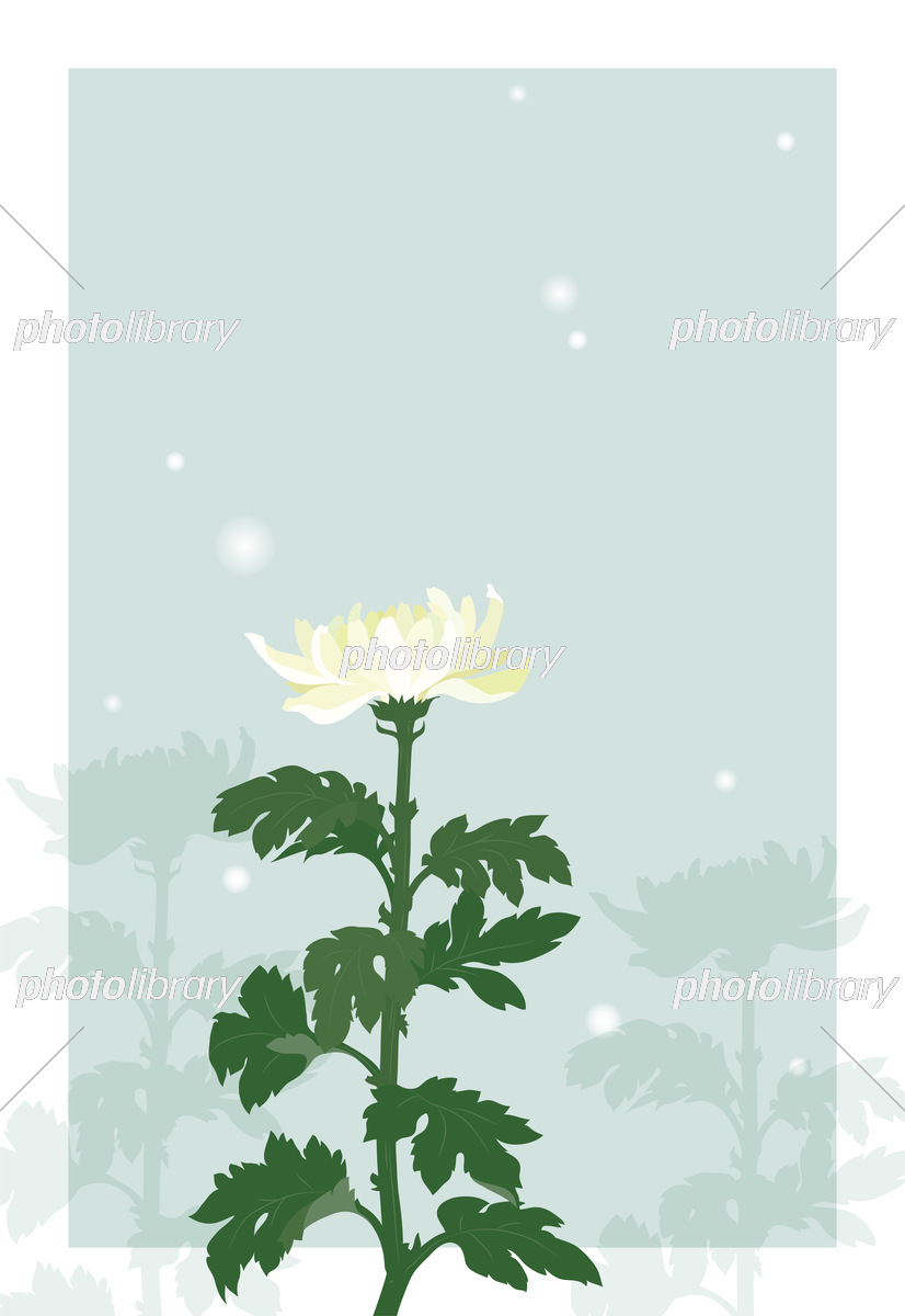 喪中ハガキ 花柄 テンプレートのイラスト素材42301641- PIXTA